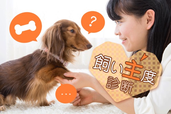 ペットと私の絆は、どれくらい？「飼い主度診断」