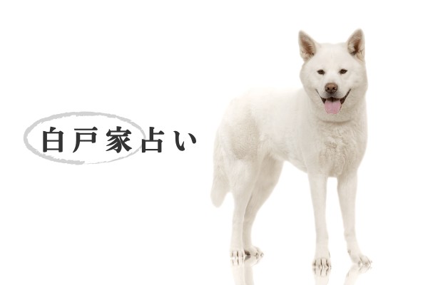 ユニークな家族が楽しい♪「白戸家占い」
