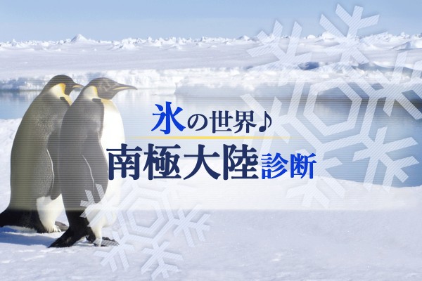 ドキドキ、ワクワク、氷の世界♪南極大陸診断