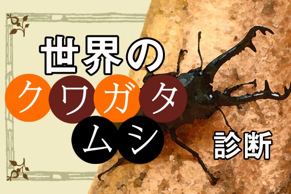 カブトムシとどっちが好き？「世界のクワガタムシ診断」