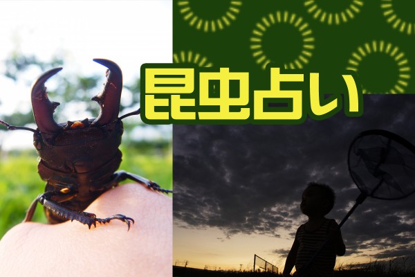【クワガタやカブトのほかにも、いろんな夏の昆虫☆】私はセミ？それとも、バッタかな？「昆虫占い」