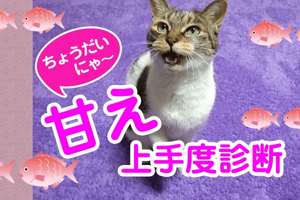 末っ子に才能があるのは、社交的で人懐っこいのと、タイミングを心得ている人が多いから「甘え上手度診断」