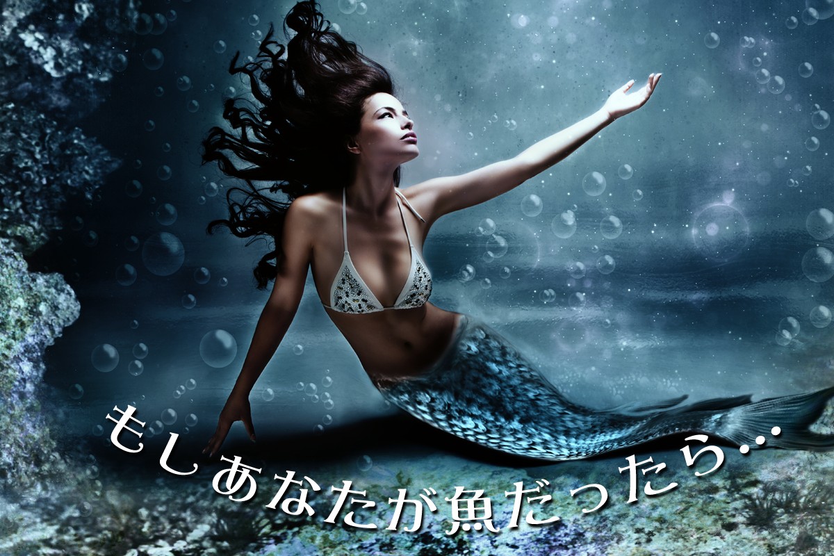 大海を泳ぐ一匹の魚だったらどんな魚 魚に例えるあなたの生態と恋愛傾向 Mirrorz ミラーズ 無料の心理テスト 診断 占い