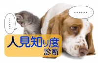 子供の頃から、恥ずかしがり屋。シャイで内気なコミュニケーション下手って克服できる？「人見知り度診断」