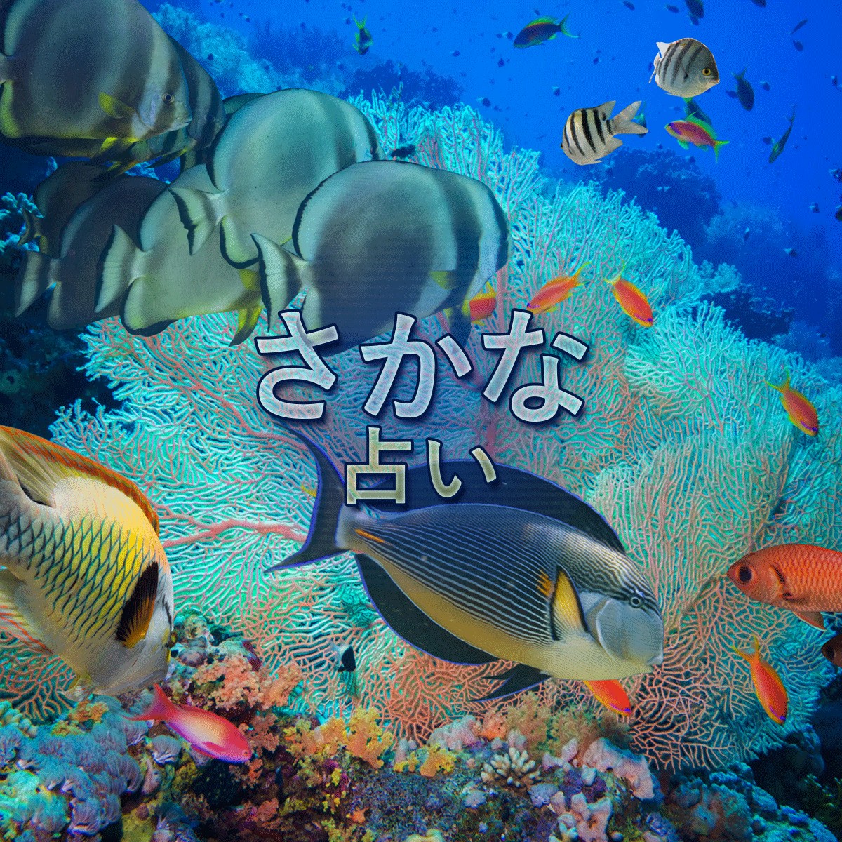 集まれ 海の仲間たち あなたは何かな さかな占い Mirrorz ミラーズ 無料の心理テスト 診断 占い 集まれ 海の仲間たち あなたは何かな さかな占い Mirrorz ミラーズ 無料の心理テスト 診断 占い