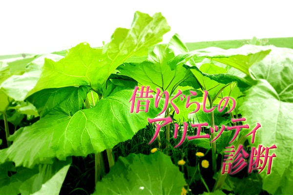 人間に見られてはいけない「借りぐらしのアリエッティ」キャラクター診断