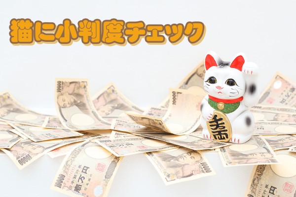 『浪費家』OR『倹約家』？猫に小判度チェック