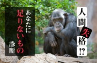 人間失格!? あなたに足りないもの診断