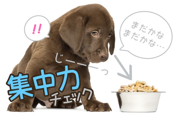 子供の頃から、注意されっぱなし。集中力を高めるには、食べ物や音楽も効果があるとか「集中力チェック」