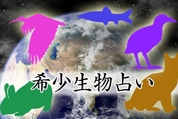 〝ヤンバルクイナ〟って、なんだか言ってみたくなる。他にも居ます、守るべき日本の貴重な「希少生物占い」