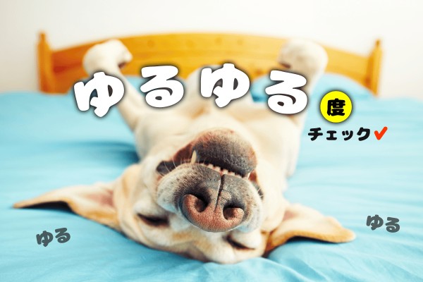 ゆるい人の特徴、ある？「ゆるゆる度チェック」