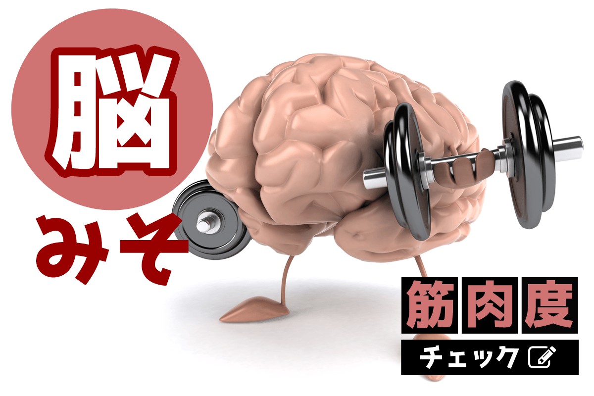 肉体派の人 集合 脳みそ筋肉度チェック Mirrorz ミラーズ 無料の心理テスト 診断 占い