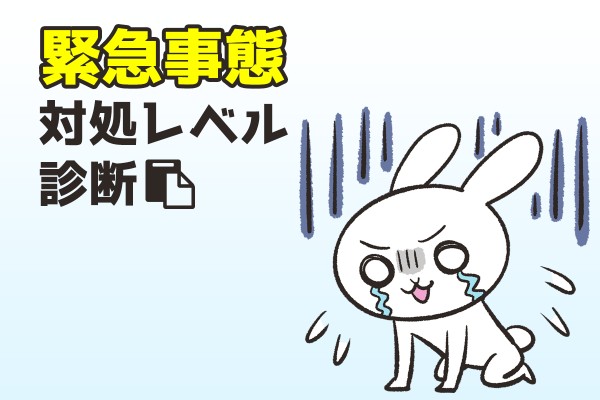 緊急事態対処レベル診断