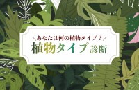 【4/24は植物学の日】あなたは何の植物タイプ？