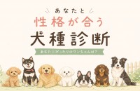【5/13愛犬の日！もし犬を飼うなら・・・】あなたと性格が合う犬種診断