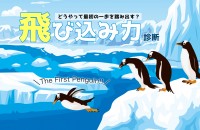 【7/1 海開きの日】飛び込み力診断